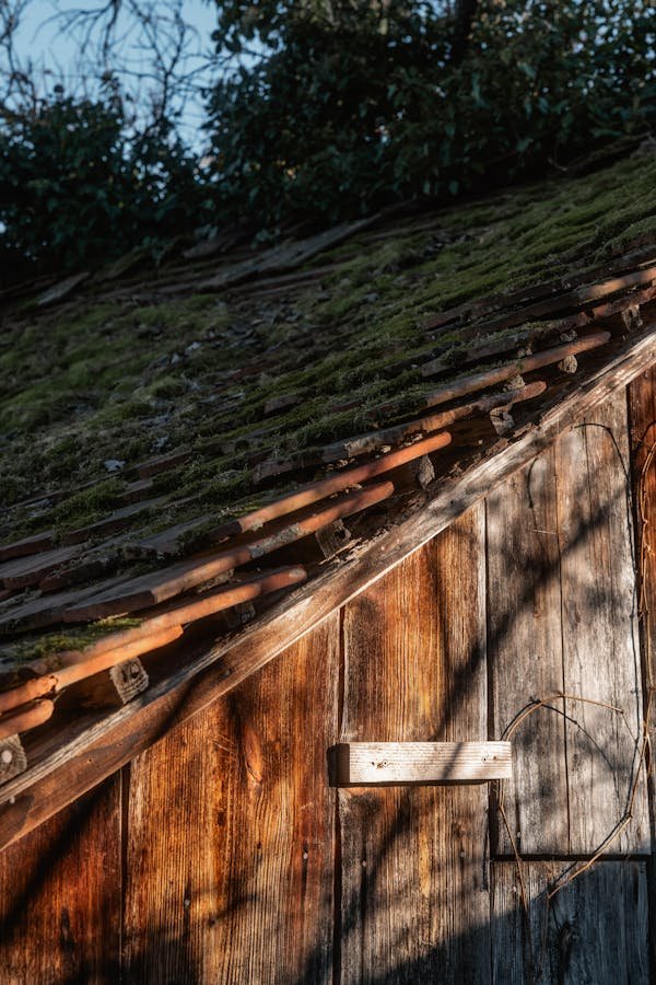 Démoussage toiture : redonnez vie et protection à votre toit !